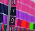 Experts at Efficient Record Management
