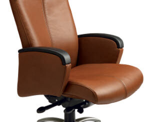 Posh Ergonomic Executive Management Fully Adjustable Chair