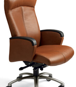 Posh Ergonomic Executive Management Fully Adjustable Chair